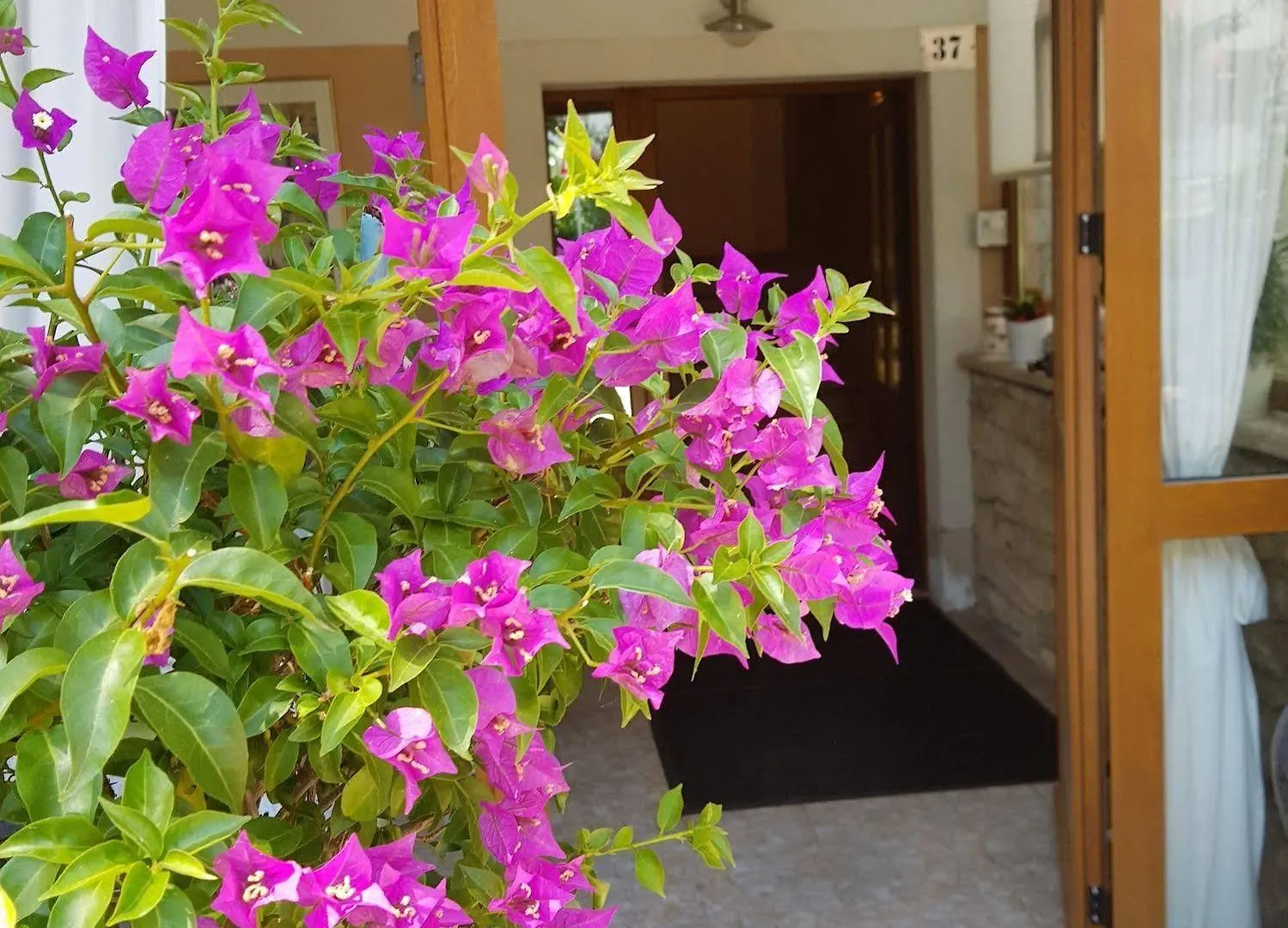 Boutique Hotel Santa Maria Novigrad
